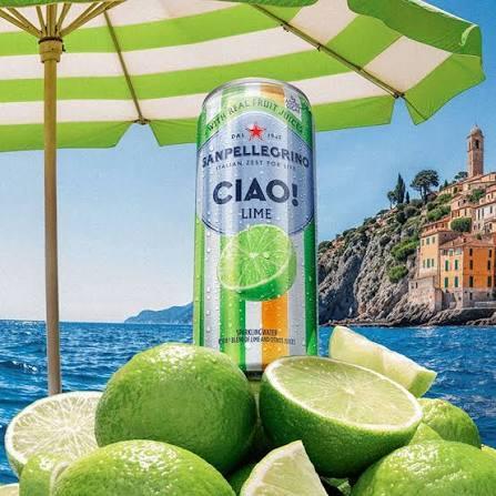 Sanpellegrino Lime 330ml can