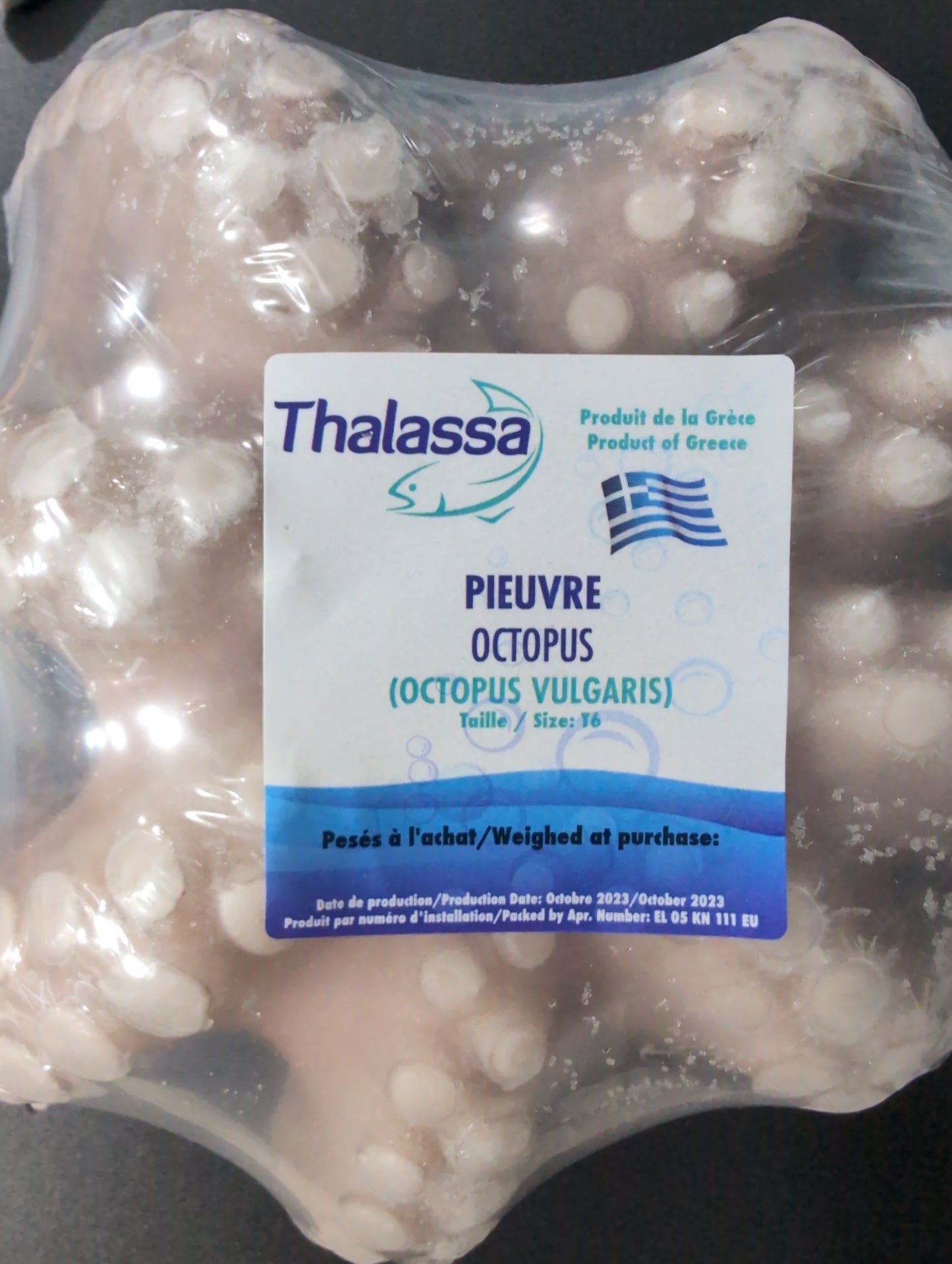 Thalassa Octopus whole