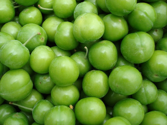 Fresh Green Plums